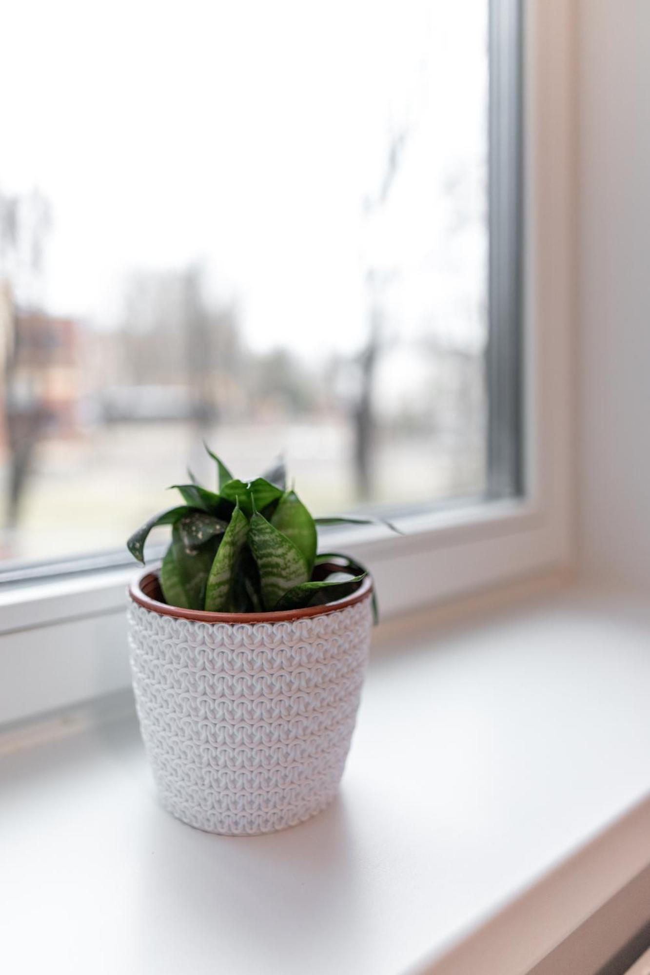 Pepleri Studio 29 Tartu Luaran gambar